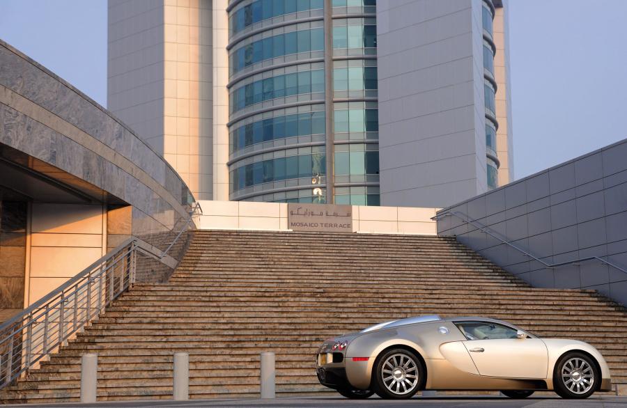  Bugatti Veyron 16.4 Gold Edition 2009 года  (фото 18 из 32)